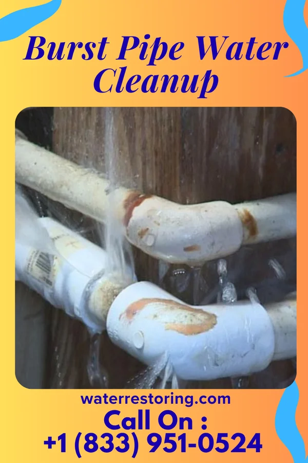 Burst Pipe Water Cleanup in Andover, MN