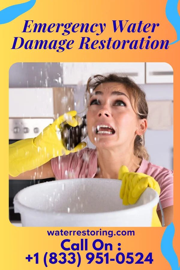 Emergency Water Damage Restoration in Andover, MN